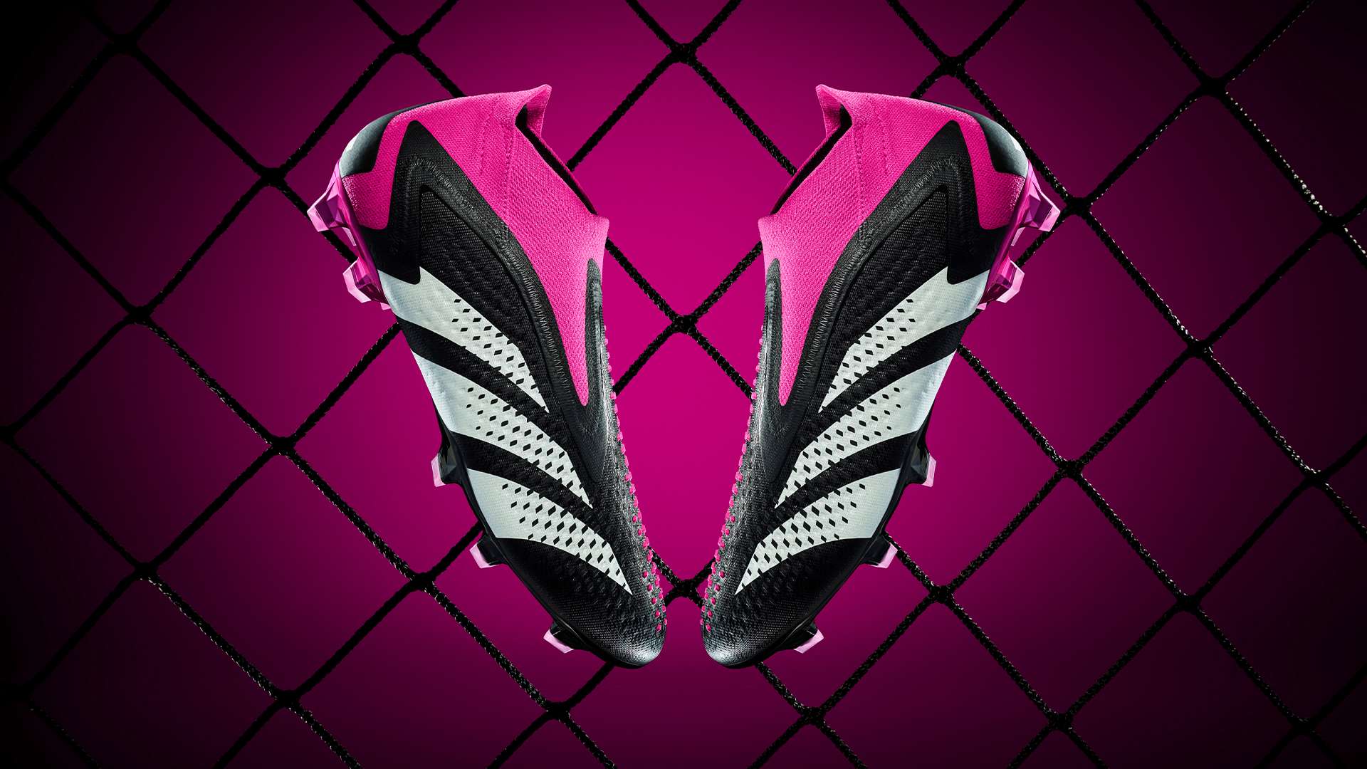 的渴望始终 的渴望始终