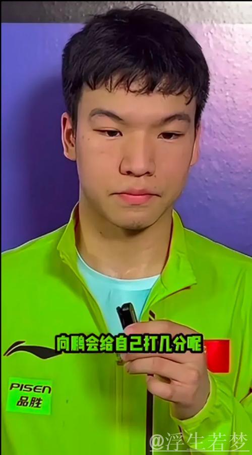 向鹏闯入男单16强 向鹏闯入男单16强